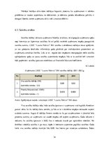 Отчёт по практике 'Sabiedrība ar ierobežotu atbildību LSEZ "Lauma Fabrics"', 34.