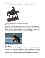 Конспект 'Portfolio, metodiskā mape', 4.