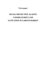 Реферат 'Social Protection against Unemployment and Activation in Labour Market', 1.