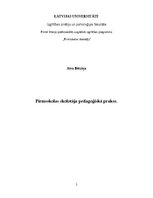 Отчёт по практике 'Pirmsskolas skolotāja agrīnās bērnības pedagoģiskā prakse', 1.
