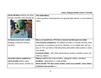 Отчёт по практике 'Pirmsskolas skolotāja agrīnās bērnības pedagoģiskā prakse', 11.