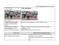 Отчёт по практике 'Pirmsskolas skolotāja agrīnās bērnības pedagoģiskā prakse', 14.