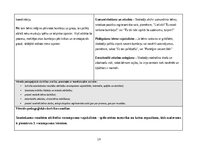 Отчёт по практике 'Pirmsskolas skolotāja agrīnās bērnības pedagoģiskā prakse', 19.