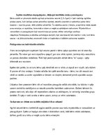 Отчёт по практике 'Pirmsskolas skolotāja agrīnās bērnības pedagoģiskā prakse', 23.