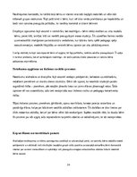 Отчёт по практике 'Pirmsskolas skolotāja agrīnās bērnības pedagoģiskā prakse', 24.