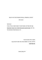 Эссе 'Essay on the International Criminal Court', 1.