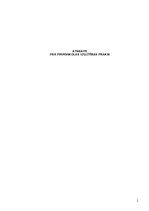 Отчёт по практике 'Atskaite par pirmsskolas izglītības praksi', 1.