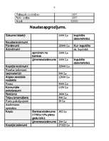 Бизнес план 'IU "Rebeka" ', 9.