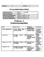 Бизнес план 'IU "Rebeka" ', 10.