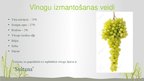 Презентация 'Pētnieciskais darbs pārtikas ķīmijā - vīnogas un mieži, vīns un alus', 3.