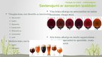 Презентация 'Pētnieciskais darbs pārtikas ķīmijā - vīnogas un mieži, vīns un alus', 14.