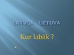Презентация 'Lietuvas un Latvijas salīdzinājums', 1.