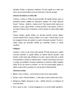 Эссе 'Literatūras mūžīgais spogulis: laikmetu un pāri laikam esošo vērtību atklājumi', 3.