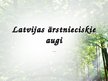 Презентация 'Latvijas ārstniecības augi', 1.