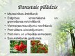 Презентация 'Latvijas ārstniecības augi', 3.