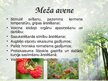 Презентация 'Latvijas ārstniecības augi', 7.