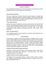 Конспект 'Neorganisko saistvielu tehnoloģija, ģipsis', 1.
