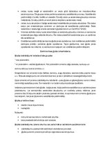 Конспект 'Neorganisko saistvielu tehnoloģija, ģipsis', 4.