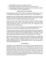 Конспект 'Neorganisko saistvielu tehnoloģija, ģipsis', 5.