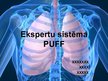 Презентация 'Ekspertu sistēma plaušu funkcionālo datu novērtēšanai', 1.