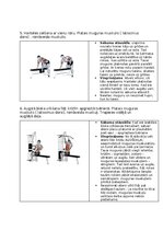 Конспект 'Fitnesa vingrinājumi', 3.