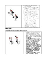Конспект 'Fitnesa vingrinājumi', 7.
