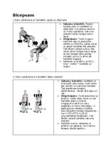 Конспект 'Fitnesa vingrinājumi', 14.