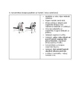 Конспект 'Fitnesa vingrinājumi', 16.