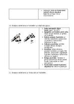 Конспект 'Fitnesa vingrinājumi', 19.