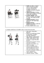 Конспект 'Fitnesa vingrinājumi', 20.