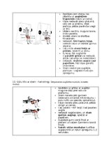 Конспект 'Fitnesa vingrinājumi', 26.