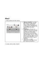 Конспект 'Fitnesa vingrinājumi', 29.