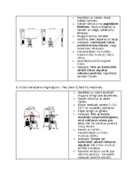 Конспект 'Fitnesa vingrinājumi', 38.