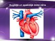 Презентация 'Sirds un asinsvadu sistēmas anatomija, asins sastāvs', 33.