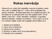 Презентация 'Rokas anatomija un fizioloģija', 12.