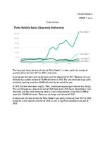 Образец документа 'Tesla Model 3 sales - graph analysis', 1.