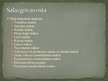 Презентация 'Latvijas mazās ostas', 26.