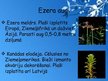 Презентация 'Ezeru ekosistēma', 10.