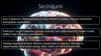 Презентация 'Nervu sistēmas strukturālā un funkcionālā organizācija', 14.