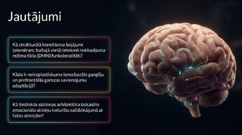 Презентация 'Nervu sistēmas strukturālā un funkcionālā organizācija', 16.