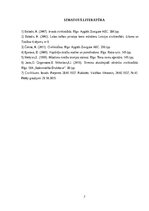 Эссе 'Labā ticība cilvēktiesībās', 7.