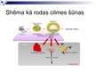 Презентация 'Cilmes šūnas', 5.
