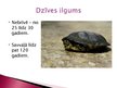 Презентация 'Purva bruņurupucis', 8.