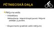Презентация 'Velosipēds kā transporta līdzeklis', 9.