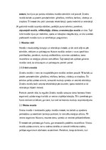 Конспект 'Masāžas vēsture, veidi un pielietojums mūsdienu praksē', 2.