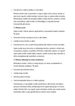 Конспект 'Masāžas vēsture, veidi un pielietojums mūsdienu praksē', 5.