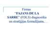 Презентация 'Uzņēmuma "Fajans de la sarre" diagnostika un stratēģijas formulējums', 1.
