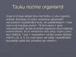 Презентация 'Tauki', 6.