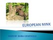 Презентация 'The European Mink', 1.