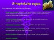Презентация 'Streptokoki', 8.
